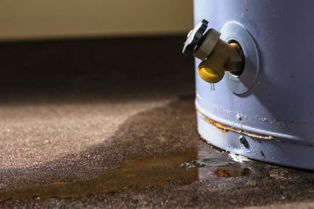 Best 24/7 water damage repair  in Mount Carmel, IL
