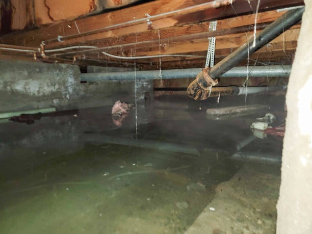 Best Residential water damage restoration  in Mount Carmel, IL