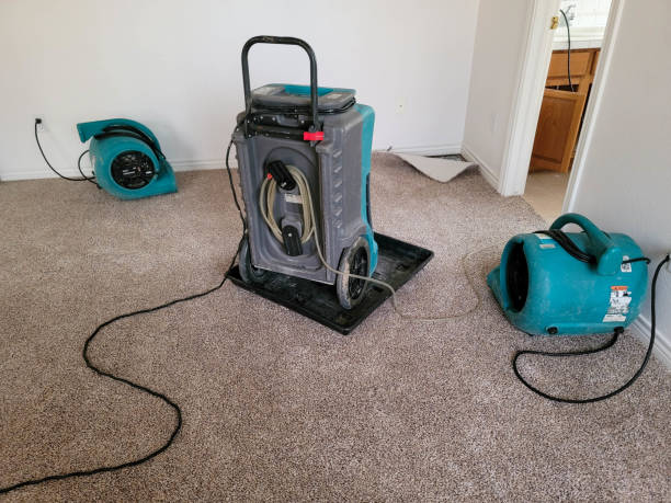 Best Water damage restoration near me  in Mount Carmel, IL