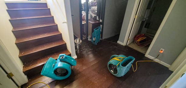 Best Emergency water damage restoration  in Mount Carmel, IL