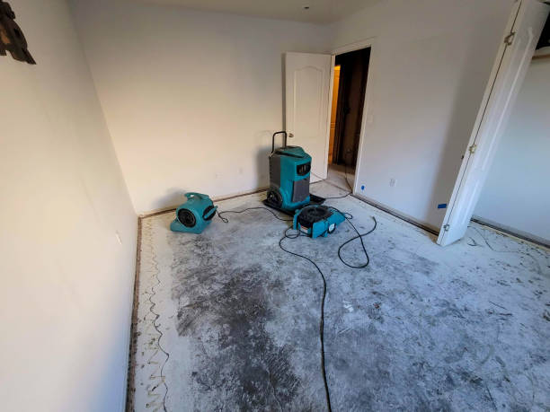 Best Commercial water damage restoration  in Mount Carmel, IL
