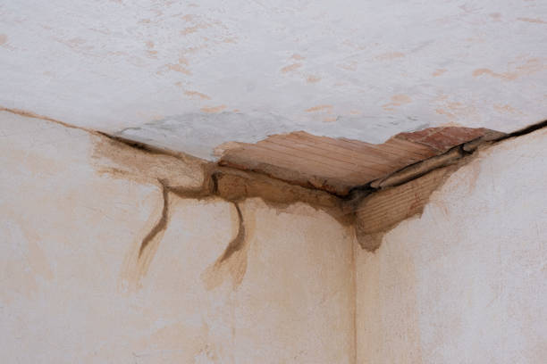 Best Ceiling water damage repair  in Mount Carmel, IL