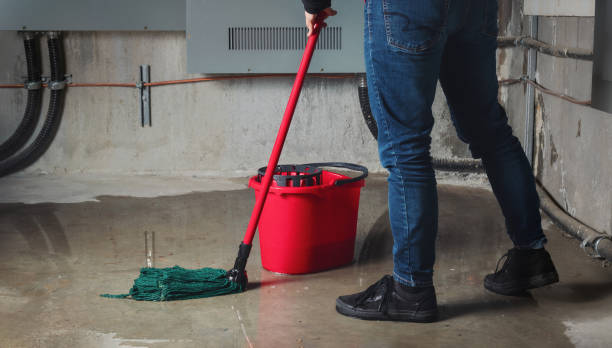 Best Water damage contractors near me  in Mount Carmel, IL