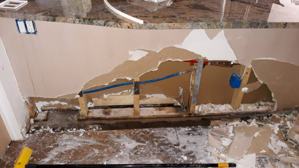 Best Water damage cleanup near me  in Mount Carmel, IL