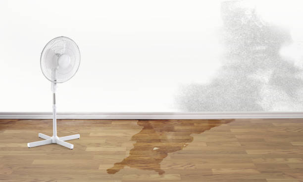 24/7 water damage repair in Mount Carmel, IL