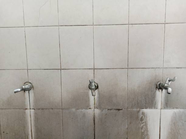 Reliable Mount Carmel, IL Water damage restoration Solutions