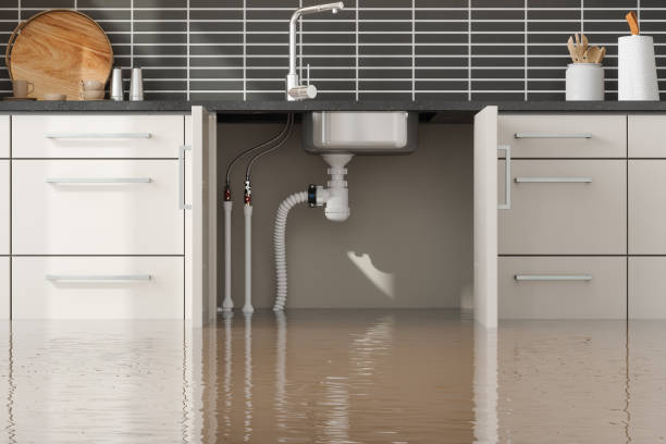 Best Water damage cleanup near me  in Mount Carmel, IL