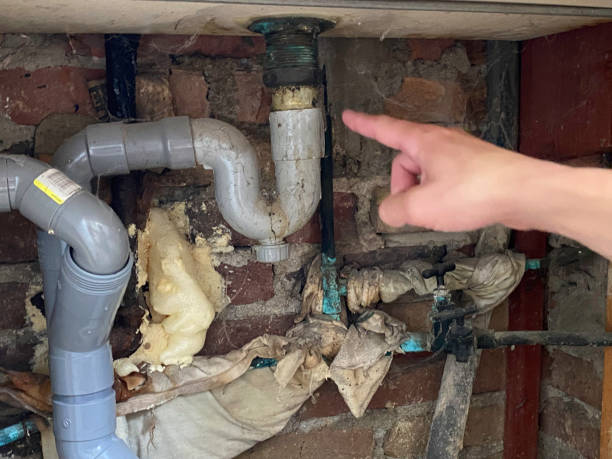 Best Carpet water damage restoration  in Mount Carmel, IL