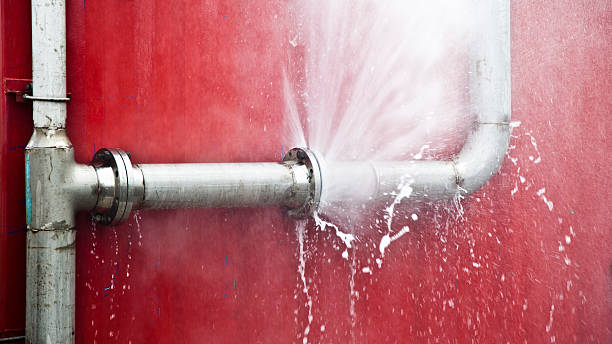 Best Water damage restoration mold remediation  in Mount Carmel, IL